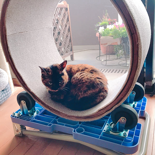58さんの実例写真