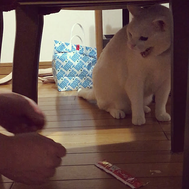 tekokaasanさんの実例写真