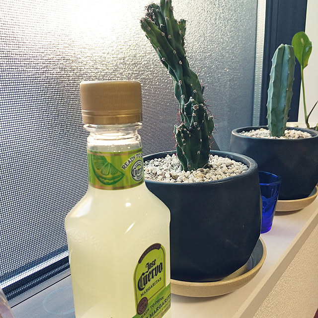 ayaさんの実例写真