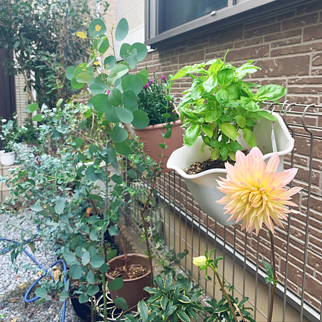 mo-nosukeさんの実例写真