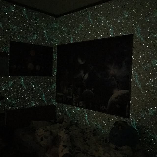 skylotus77さんの実例写真