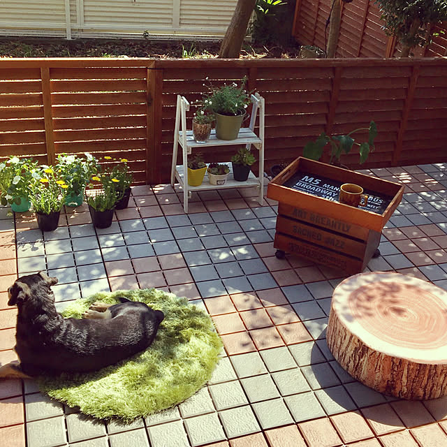 mugijunさんの実例写真