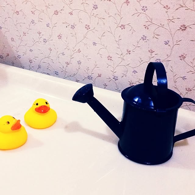 minaさんの実例写真