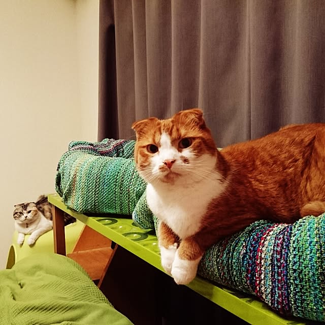 Sachiさんの実例写真