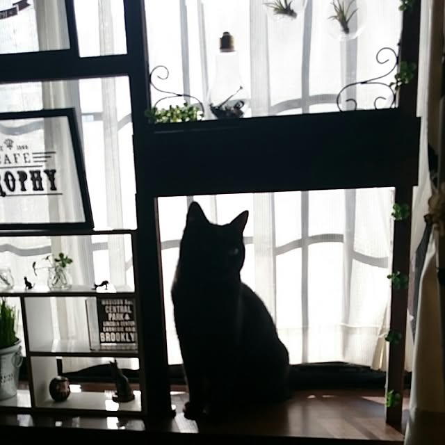 87-JBRsさんの実例写真