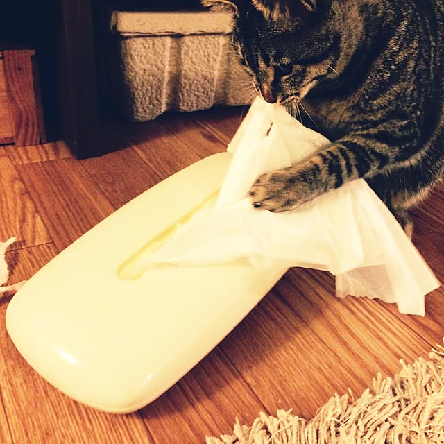 maruさんの実例写真