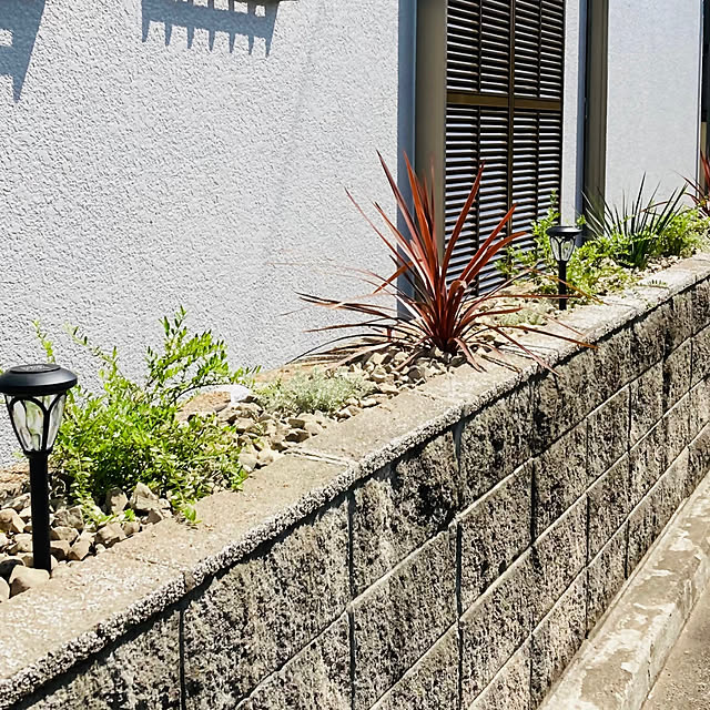 rikazoさんの実例写真