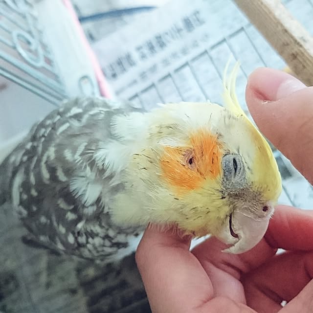 eiさんの実例写真