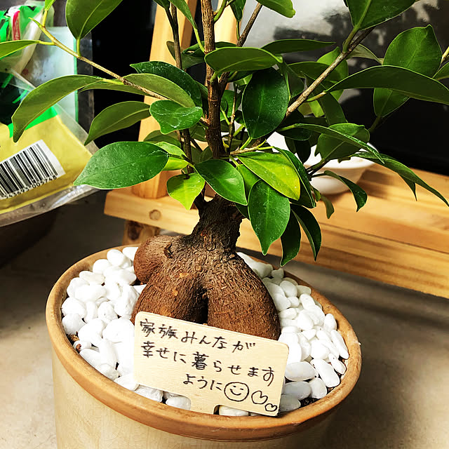 momomoさんの実例写真