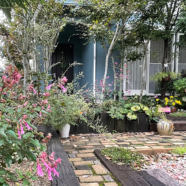 nobikoさんの部屋