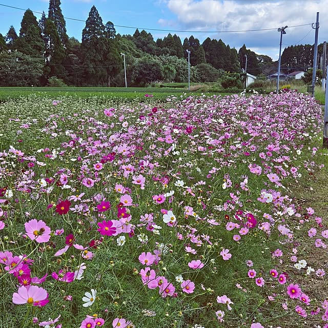 mocomocoさんの部屋