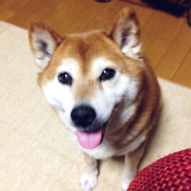 Hanaさんの実例写真