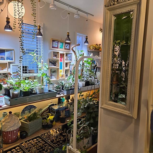 nonbiri_house_さんの部屋