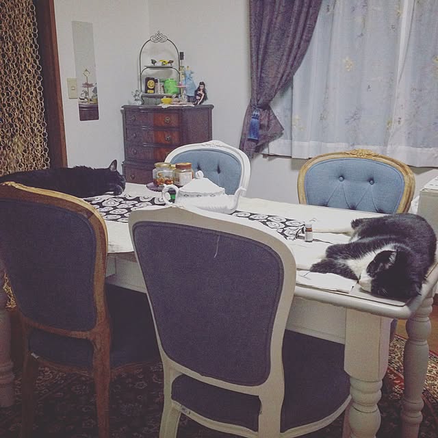 Tippiさんの実例写真