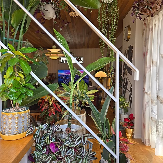 nonbiri_house_さんの部屋