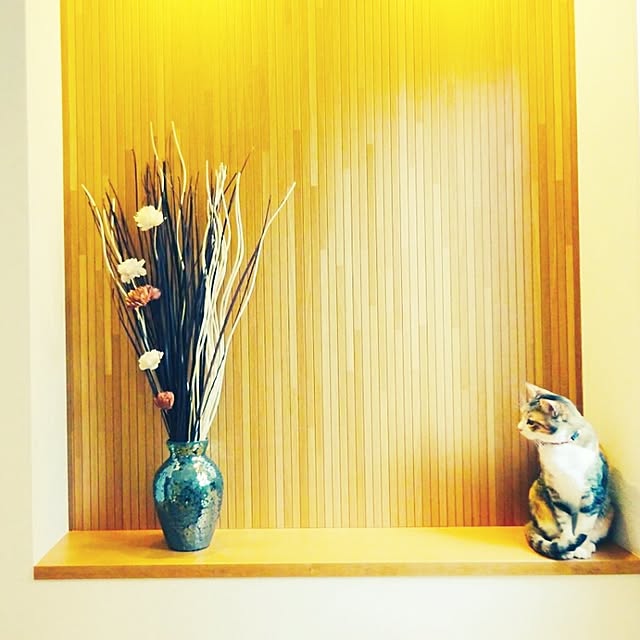 123sgnbさんの実例写真