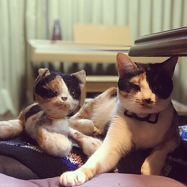 maroさんの実例写真