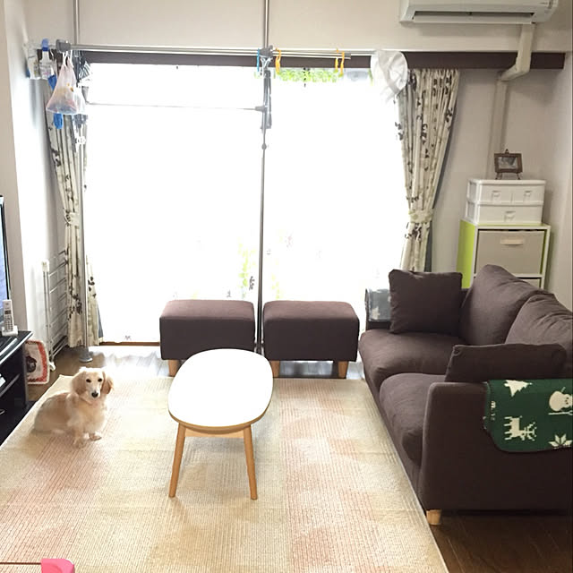 Rallさんの実例写真