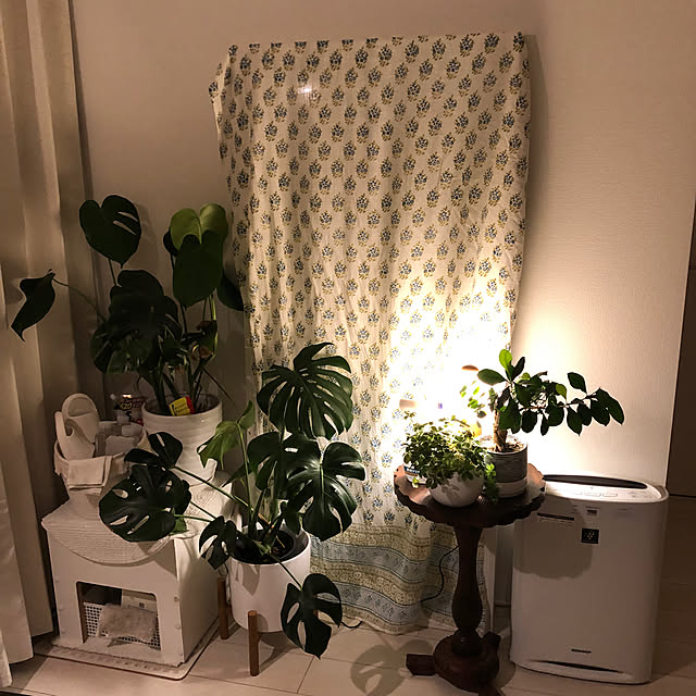 mikenekoさんの部屋