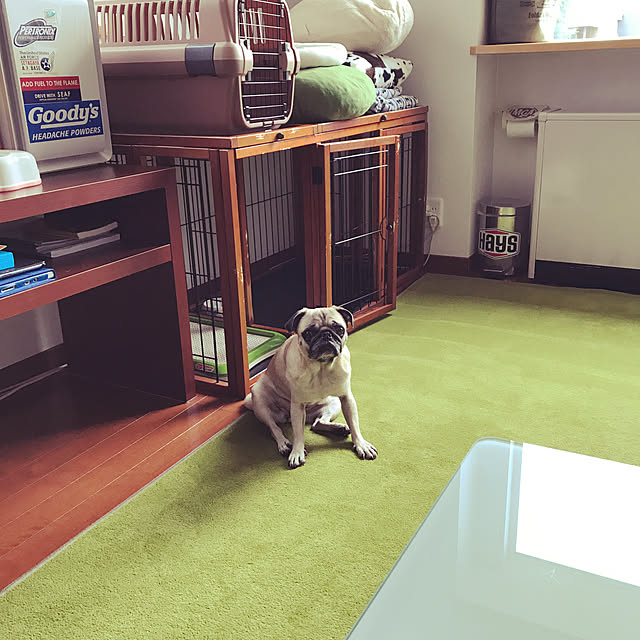 kellyさんの実例写真