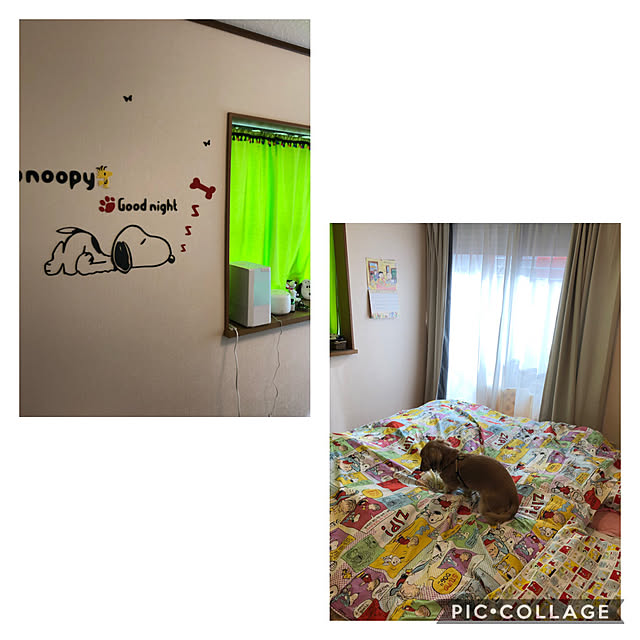 popopomihoさんの実例写真