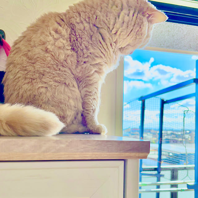 naokoさんの部屋