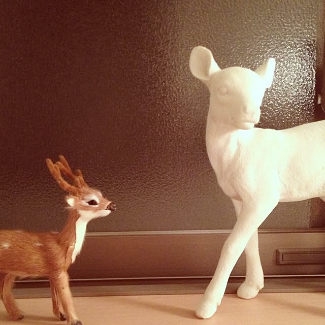 cocoさんの実例写真
