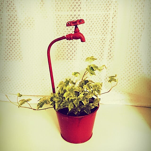 リビング/植物/雑貨のインテリア実例 - 2013-12-15 22:21:04
