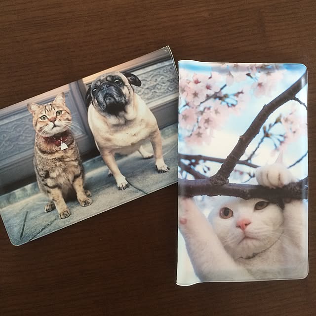 aruさんの実例写真