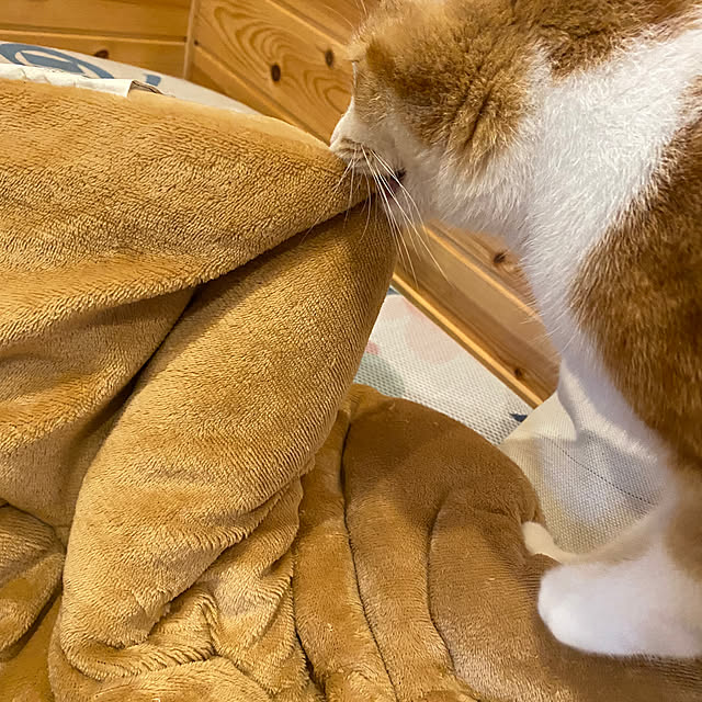 senbei.sakuramochiさんの部屋