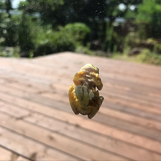 Nagakoさんの実例写真