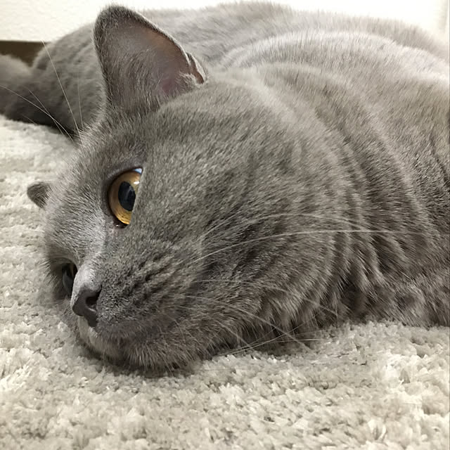 fionaさんの実例写真