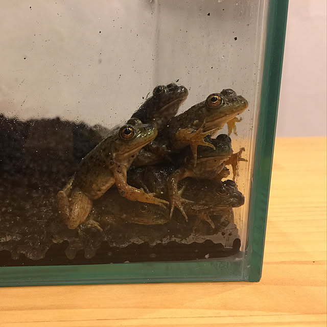 unataroさんの実例写真