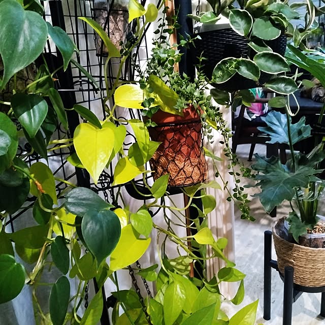 runaさんの部屋