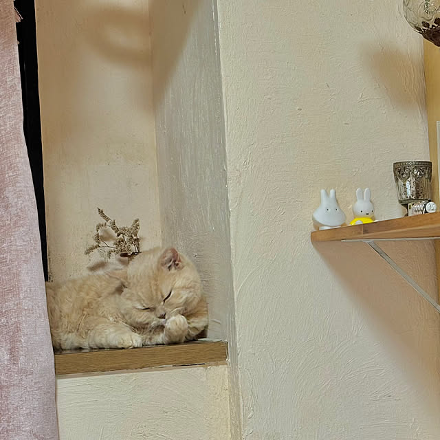naokoさんの部屋