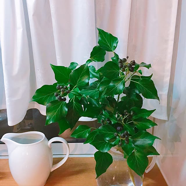 peiranさんの実例写真