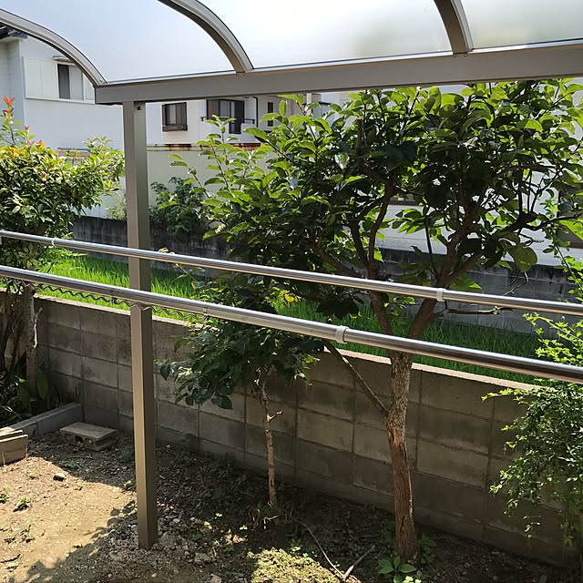 96さんの実例写真