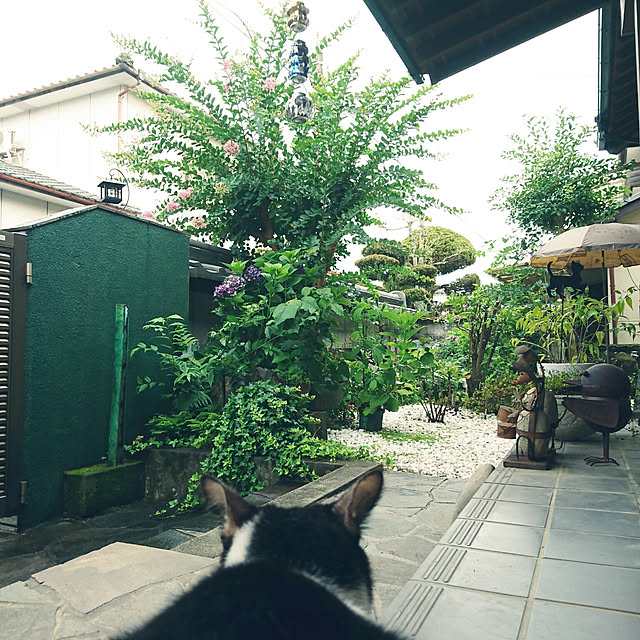 uchizukonyanさんの実例写真
