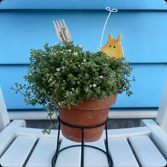 Ohigeさんの実例写真