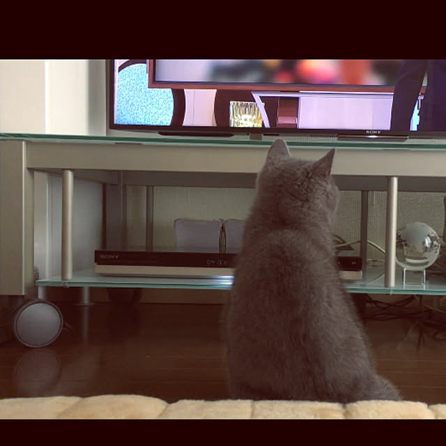 kittyさんの実例写真