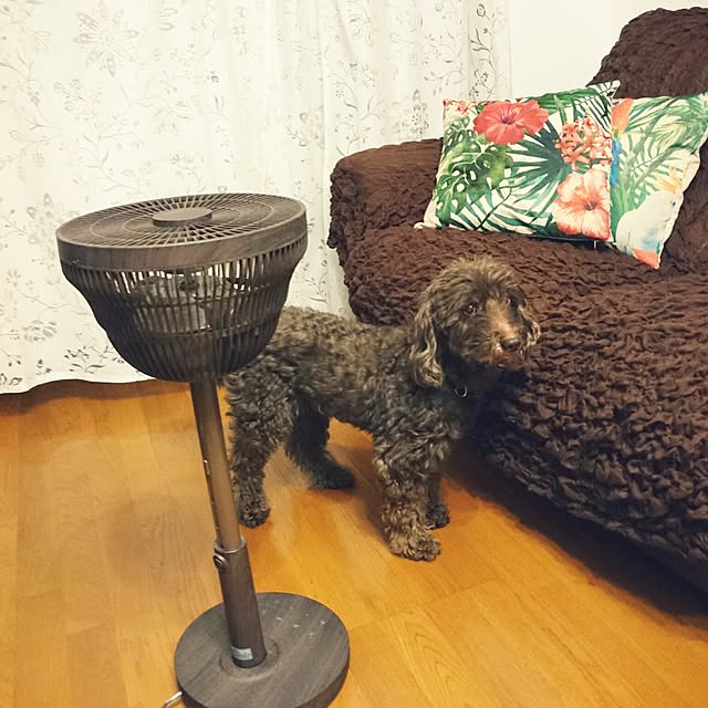 mimi828さんの実例写真