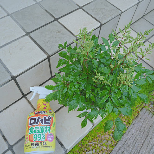 KNさんの部屋