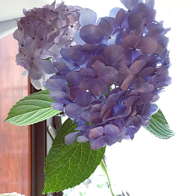 mimichankさんの実例写真