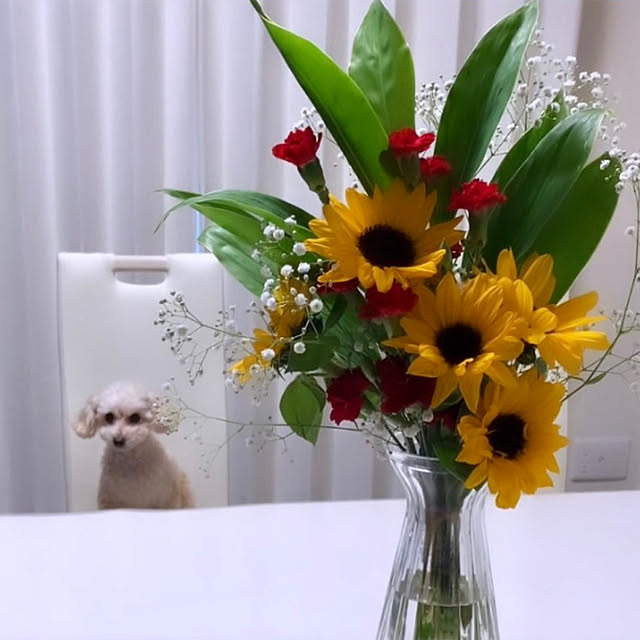 Kasumiさんの実例写真