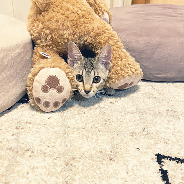 gachaさんの部屋