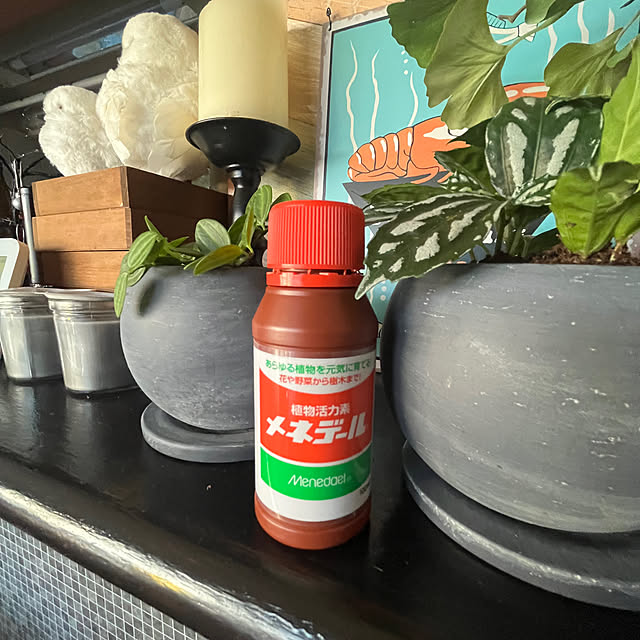 makkoman7さんの部屋