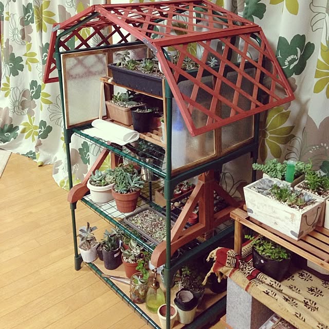 frogさんの実例写真