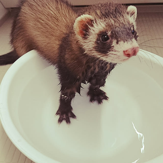 touyamamaさんの実例写真
