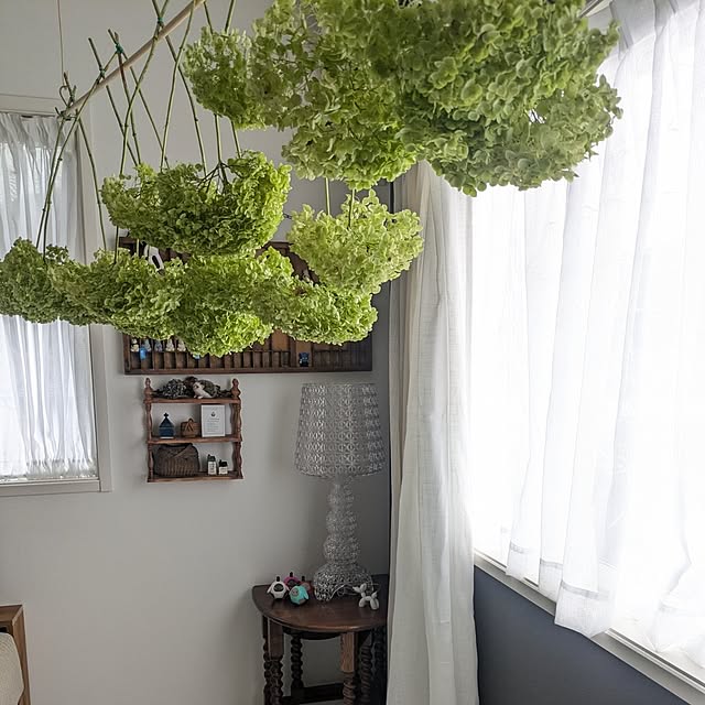 fumitanさんの部屋