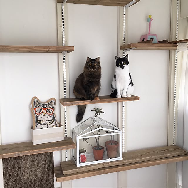 mikomaruさんの実例写真